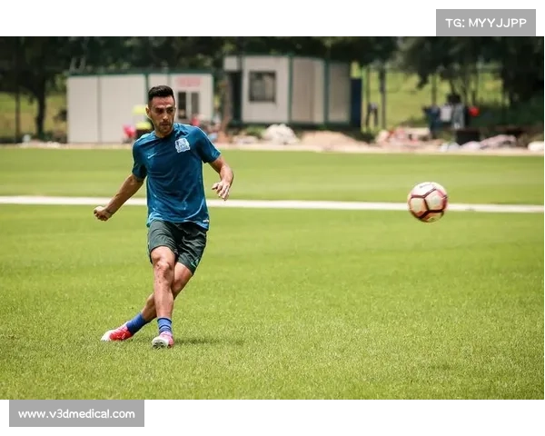 扎哈维退役深层原因揭秘 他背后的无奈与决断